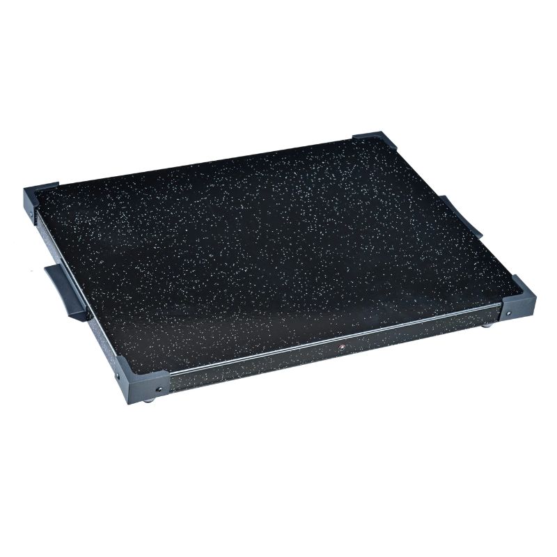 פלטת שבת Sauter סאוטר PS600 פלטת שבת Sauter סאוטר PS600